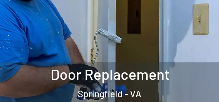 Door Replacement Springfield - VA