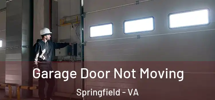  Garage Door Not Moving Springfield - VA