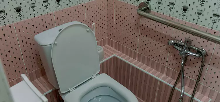 Meeting Diverse Needs With Accessible Restroom Solutions in Springfield, VA
