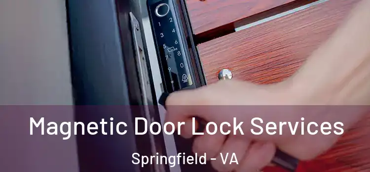  Magnetic Door Lock Services Springfield - VA